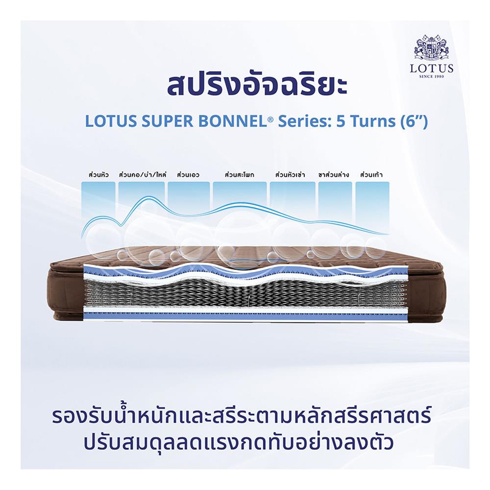 ที่นอน 6 ฟุต LOTUS PRECISE II สีน้ำตาล พร้อมหมอนหนุน 2 ชิ้น