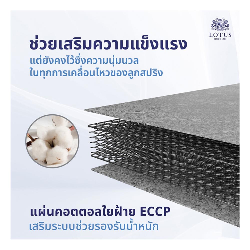 ที่นอน 5 ฟุต LOTUS PRECISE II สีน้ำตาล พร้อมหมอนหนุน 2 ชิ้น
