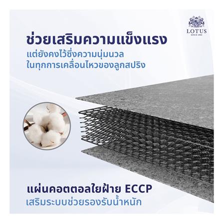 ที่นอน 5 ฟุต LOTUS PRECISE II สีน้ำตาล พร้อมหมอนหนุน 2 ชิ้น_6