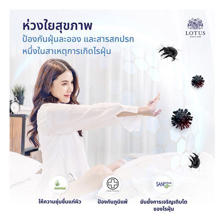 ที่นอน 3.5 ฟุต LOTUS PRECISE II สีน้ำตาล พร้อมหมอนหนุน 1 ชิ้น_4