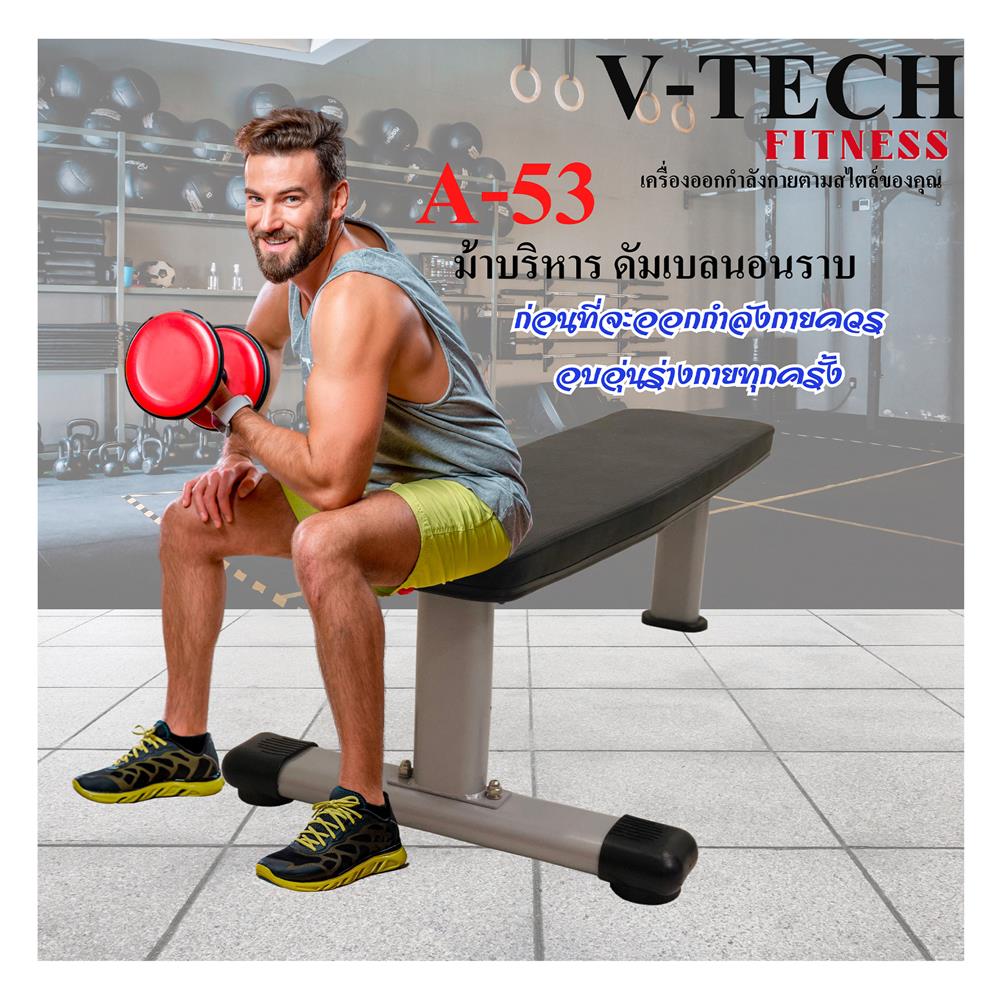 ม้าบริหารร่างกาย V-TECH A53