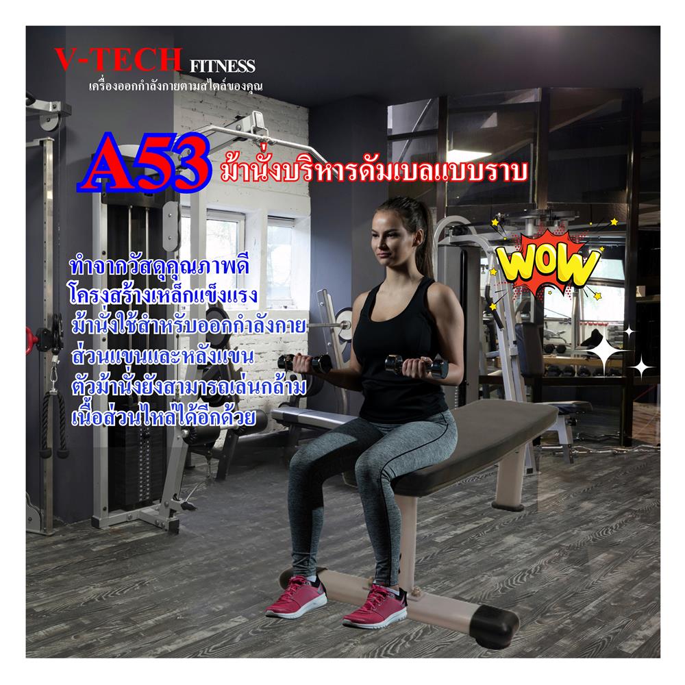 ม้าบริหารร่างกาย V-TECH A53