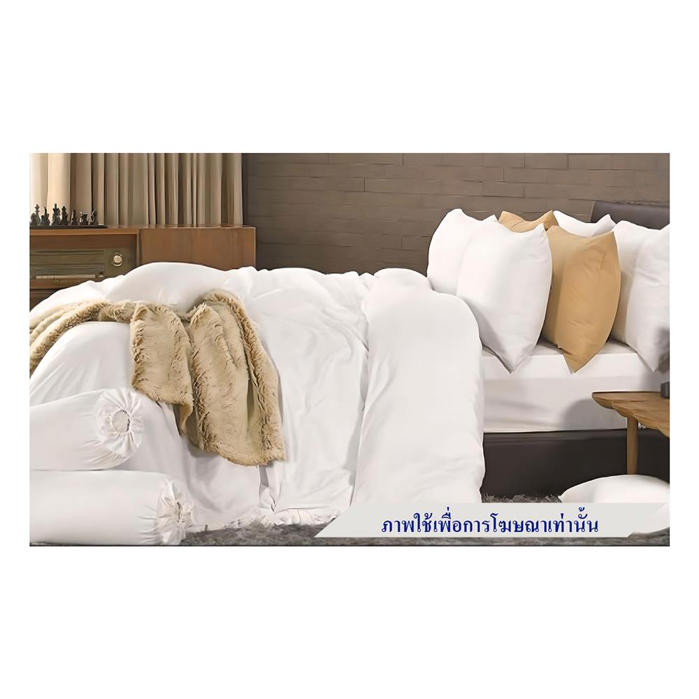 ชุดผ้าปูที่นอน 3.5 ฟุต 3 ชิ้น FACINO SOLID SF029