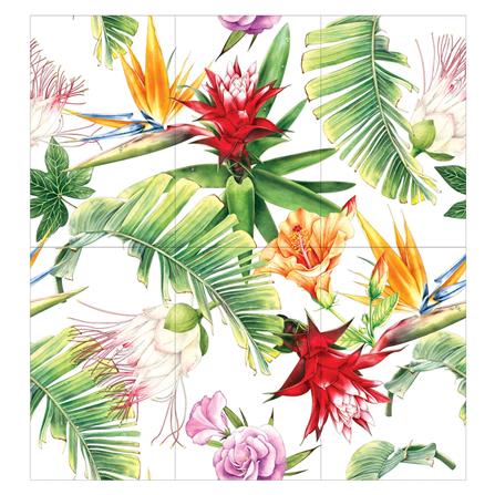 กระเบื้องผนังภาพชุด 10x16 นิ้ว ARTE อเมซอนไวท์_0