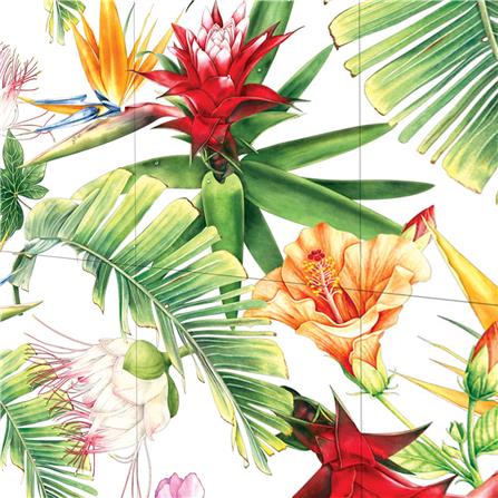 กระเบื้องผนังภาพชุด 10x16 นิ้ว ARTE อเมซอนไวท์_1