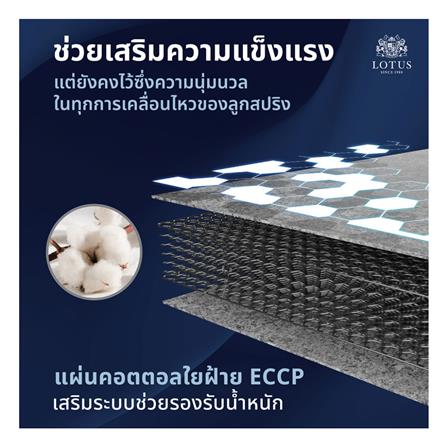 ที่นอน 5 ฟุต LOTUS ANGELUS_7