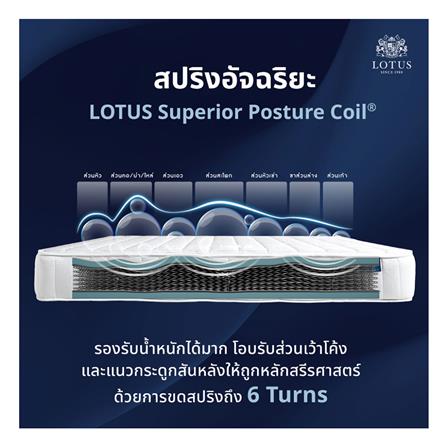 ที่นอน 3.5 ฟุต LOTUS ANGELUS_6