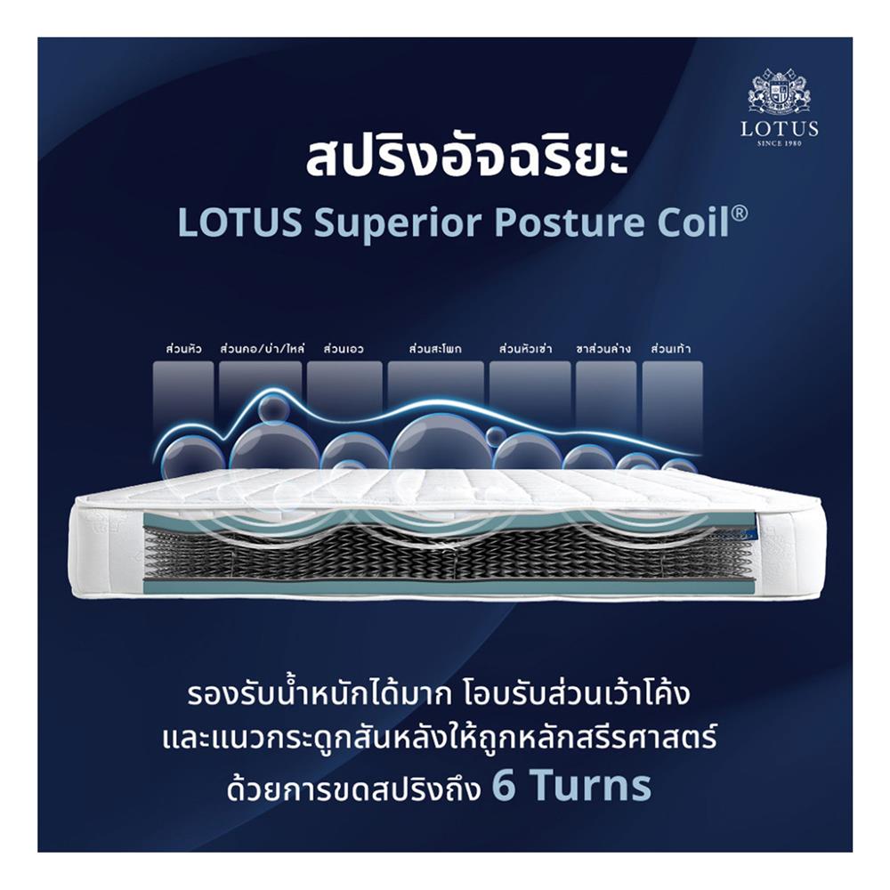 ที่นอน 6 ฟุต LOTUS ANGELUS