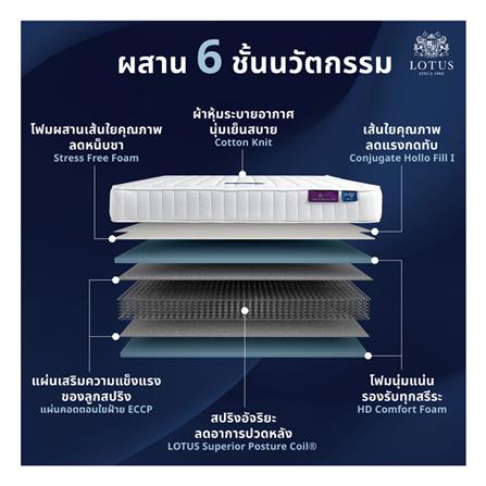ที่นอน 6 ฟุต LOTUS ANGELUS_4