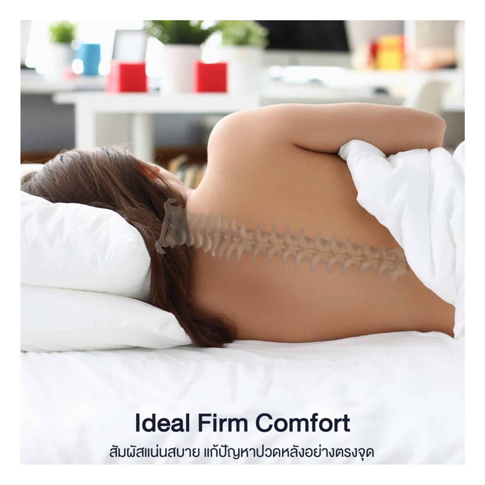 ที่นอน 3.5 ฟุต LOTUS ELIPSE พร้อมหมอนหนุน 1 ชิ้น