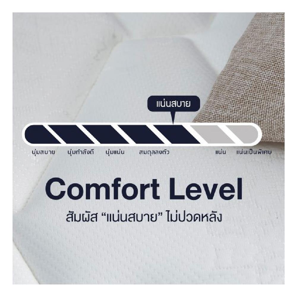 ที่นอน 6 ฟุต LOTUS ELIPSE พร้อมหมอนหนุน 2 ชิ้น