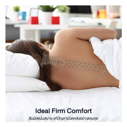 ที่นอน 6 ฟุต LOTUS ELIPSE พร้อมหมอนหนุน 2 ชิ้น_12