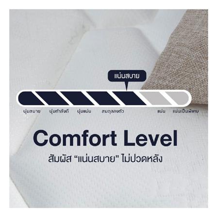 ที่นอน 6 ฟุต LOTUS ELIPSE พร้อมหมอนหนุน 2 ชิ้น_13