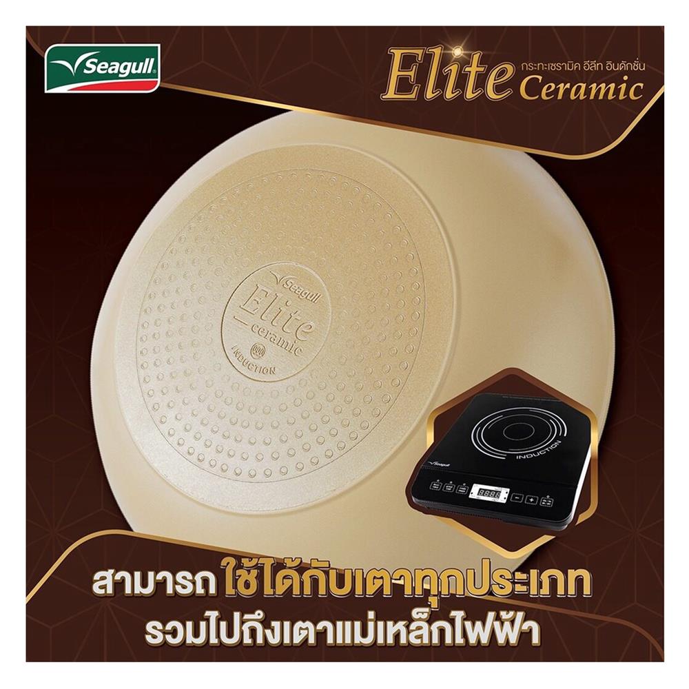 กระทะตื้น 24 ซม. SEAGULL ELITE