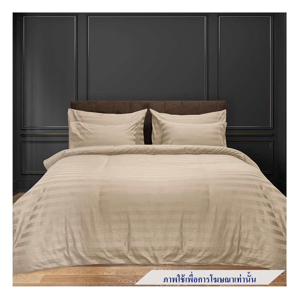 ผ้าปูที่นอน PICASSO COTTON 84X110 นิ้ว ลายริ้ว สี BROWN
