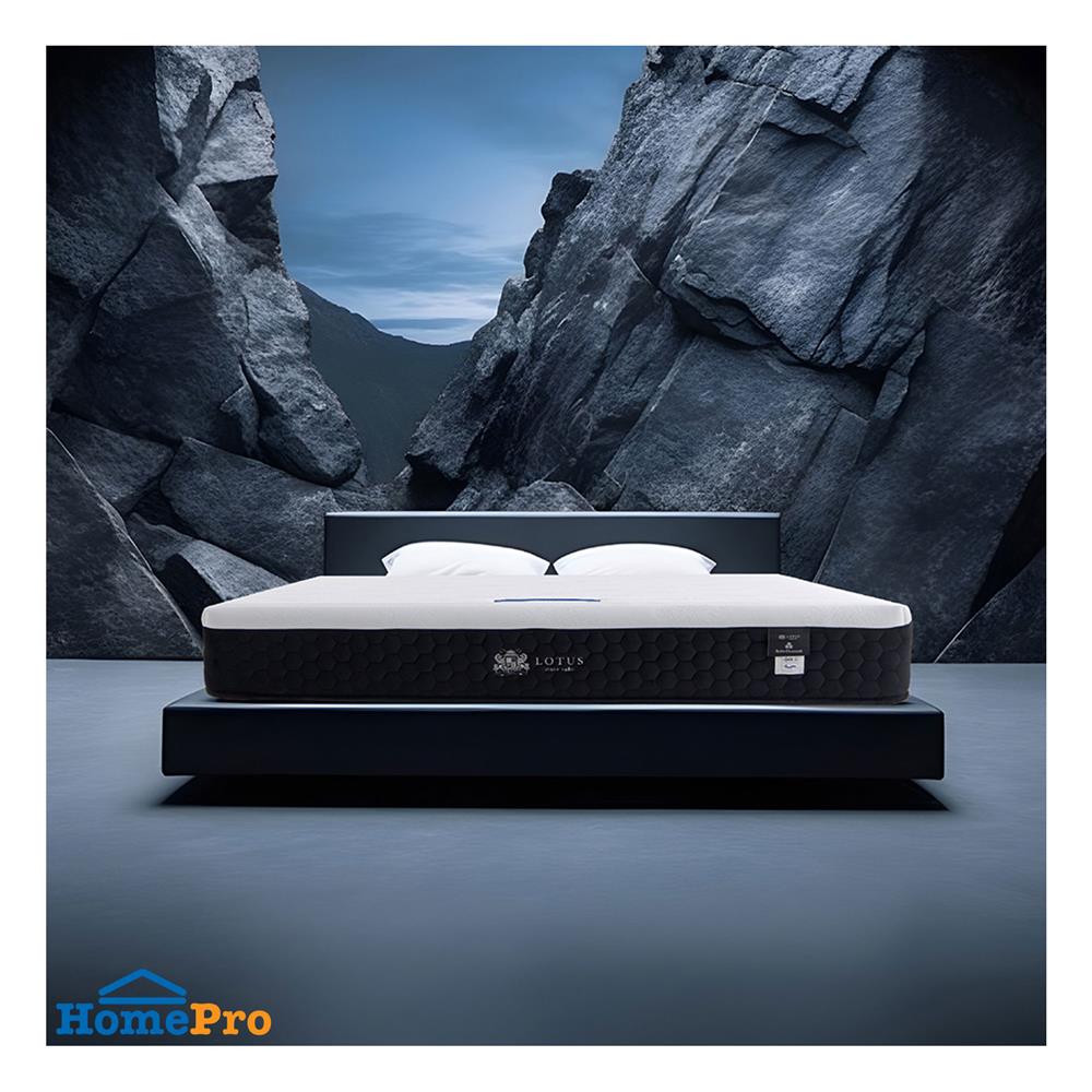 ที่นอน 6 ฟุต LOTUS POLLUX I พร้อมหมอนหนุน 2 ชิ้น