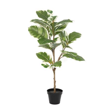 ต้นยางอินเดียใบด่างประดิษฐ์ SPRING 92 ซม._0