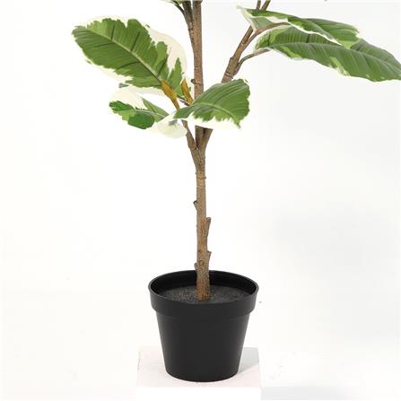 ต้นยางอินเดียใบด่างประดิษฐ์ SPRING 92 ซม._2