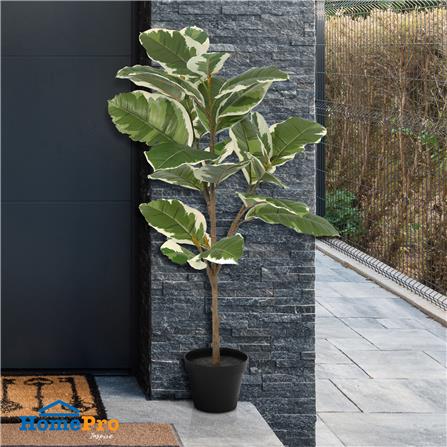 ต้นยางอินเดียใบด่างประดิษฐ์ SPRING 92 ซม._3