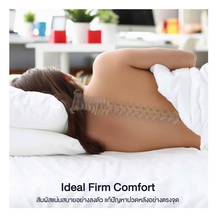 ที่นอน 6 ฟุต LOTUS PREMIUM II พร้อมหมอนหนุน 2 ชิ้น_11