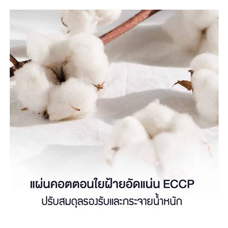 ที่นอน 5 ฟุต LOTUS PREMIUM II พร้อมหมอนหนุน 2 ชิ้น_6