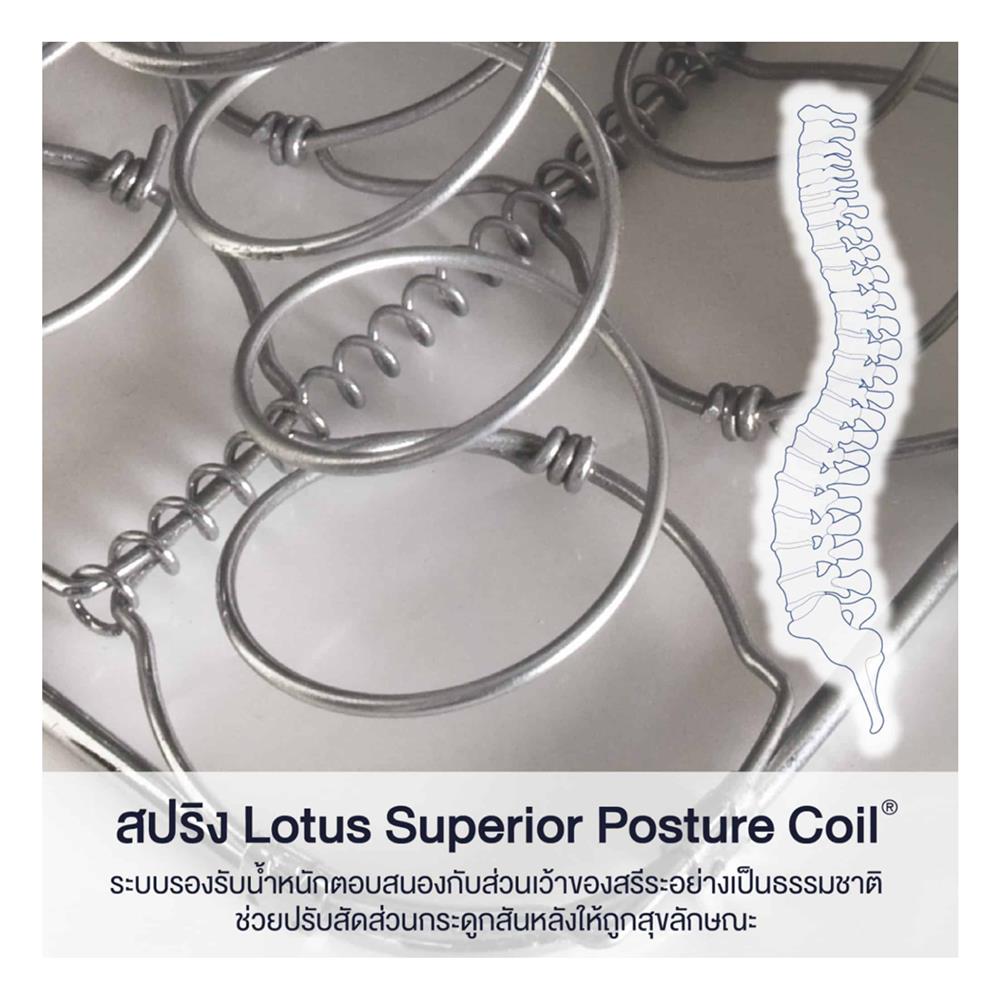 ที่นอน 3.5 ฟุต LOTUS PREMIUM II พร้อมหมอนหนุน 1 ชิ้น