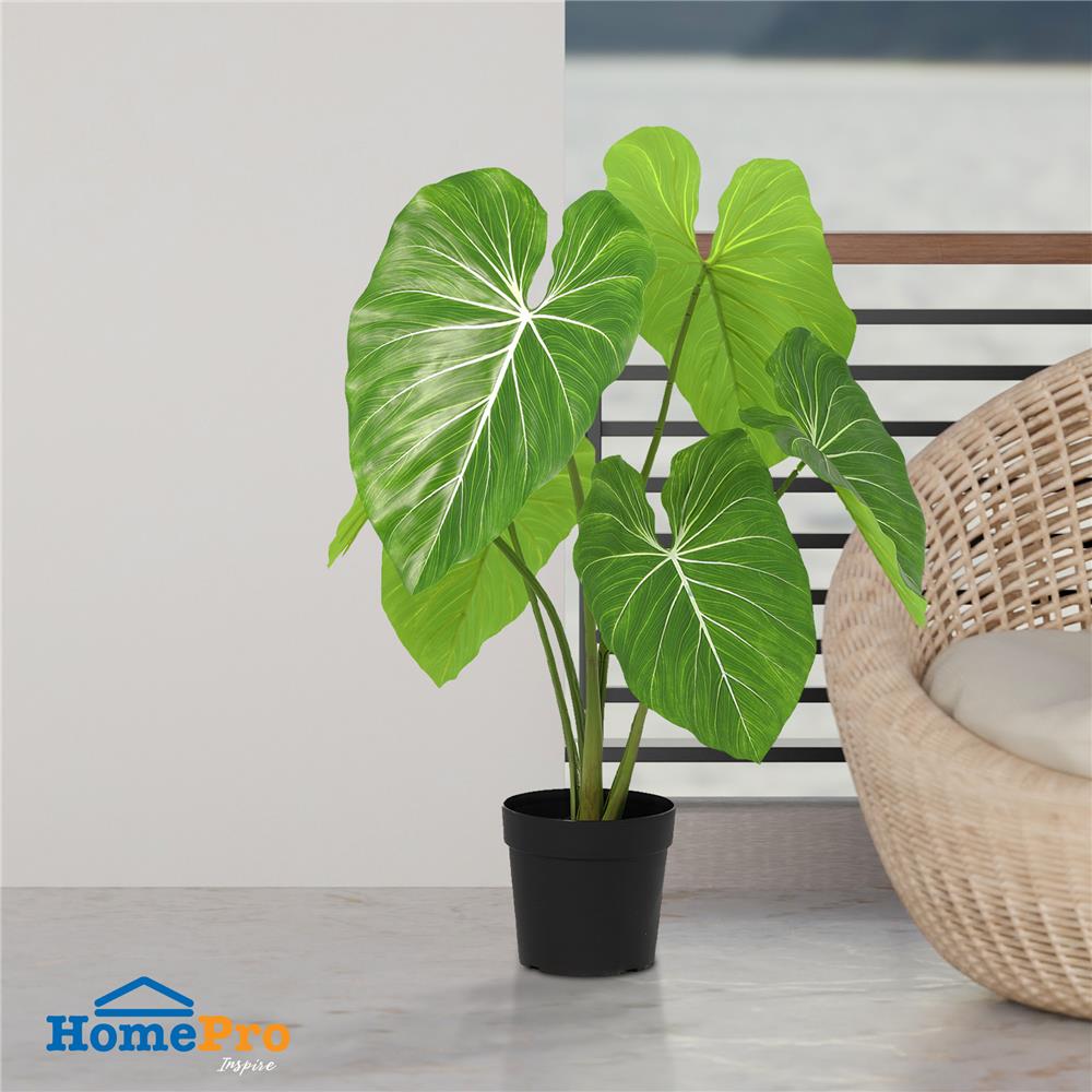 ต้นฟิโลเดนดรอนหูช้างประดิษฐ์ SPRING 105 ซม.