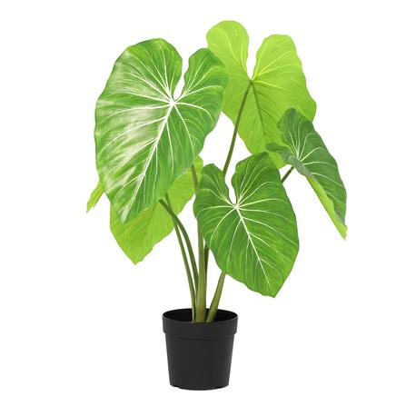 ต้นฟิโลเดนดรอนหูช้างประดิษฐ์ SPRING 105 ซม._0