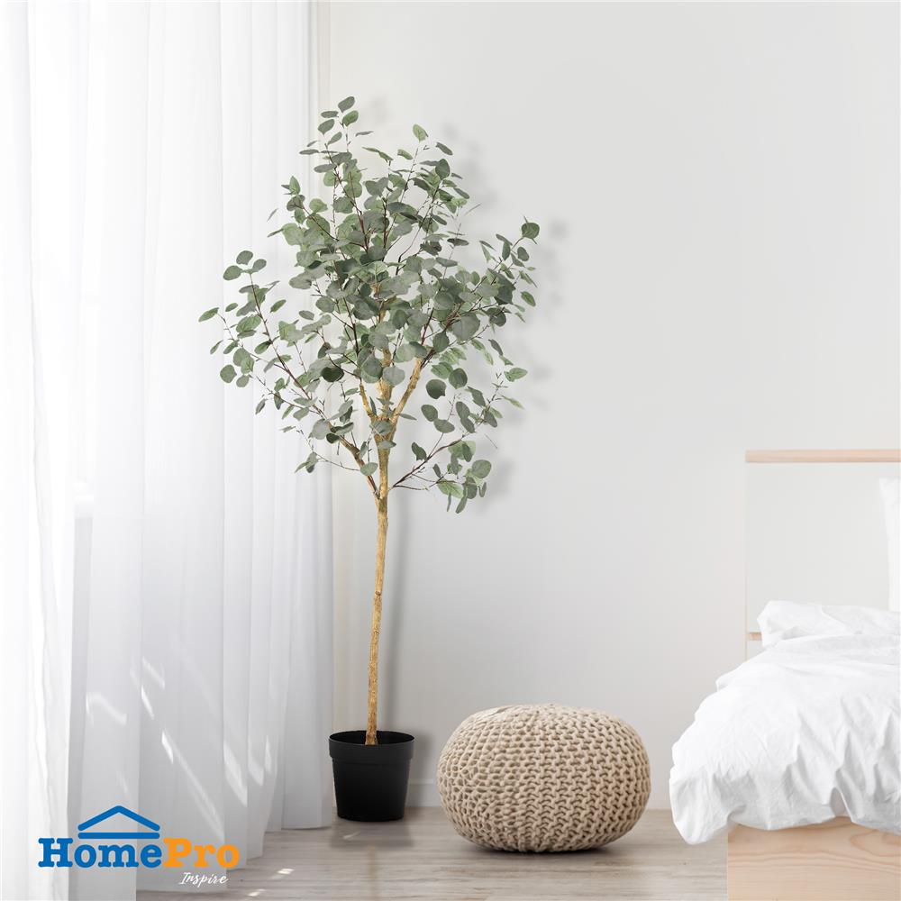 ต้นยูคาลิปตัสประดิษฐ์ SPRING 178 ซม.