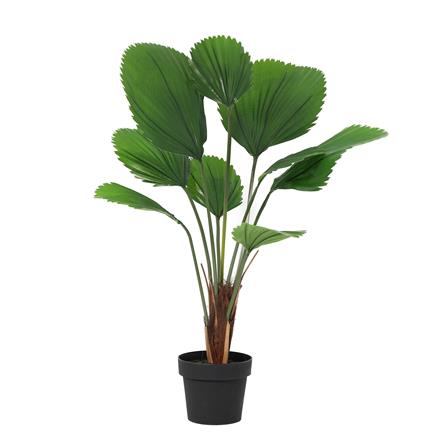 ต้นปาล์มใบพัดประดิษฐ์ SPRING 104 ซม._0