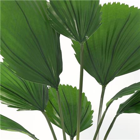ต้นปาล์มใบพัดประดิษฐ์ SPRING 104 ซม._1