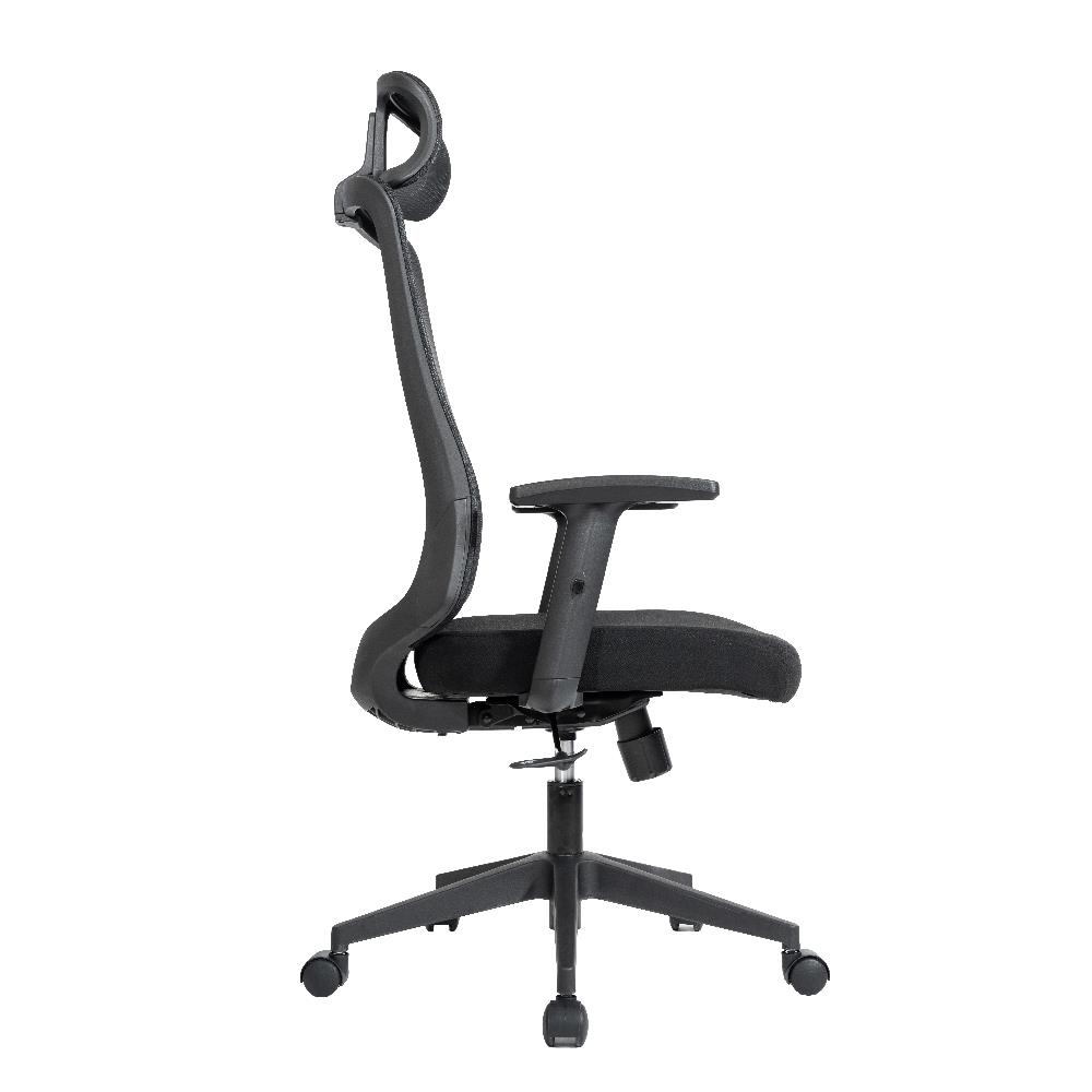 เก้าอี้สุขภาพ ERGOTREND RIO สีดำ