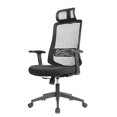 เก้าอี้สุขภาพ ERGOTREND RIO สีดำ_0