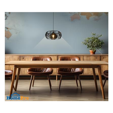 ไฟช่อ SUCCESS CD10875/1 สีดำ 1 หัว_3