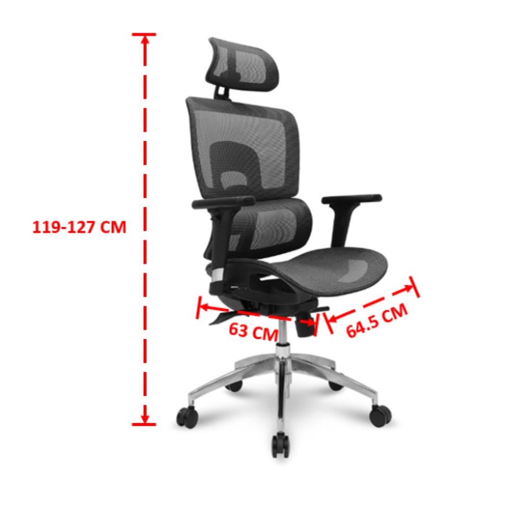 เก้าอี้สุขภาพ SURE MERSEUSE PL-189 สีเทา