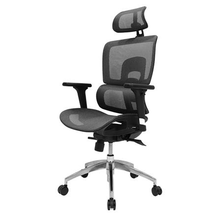 เก้าอี้สุขภาพ SURE MERSEUSE PL-189 สีเทา_0