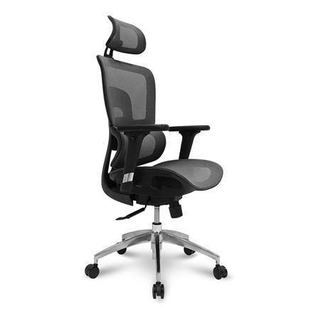 เก้าอี้สุขภาพ SURE MERSEUSE PL-189 สีเทา_2