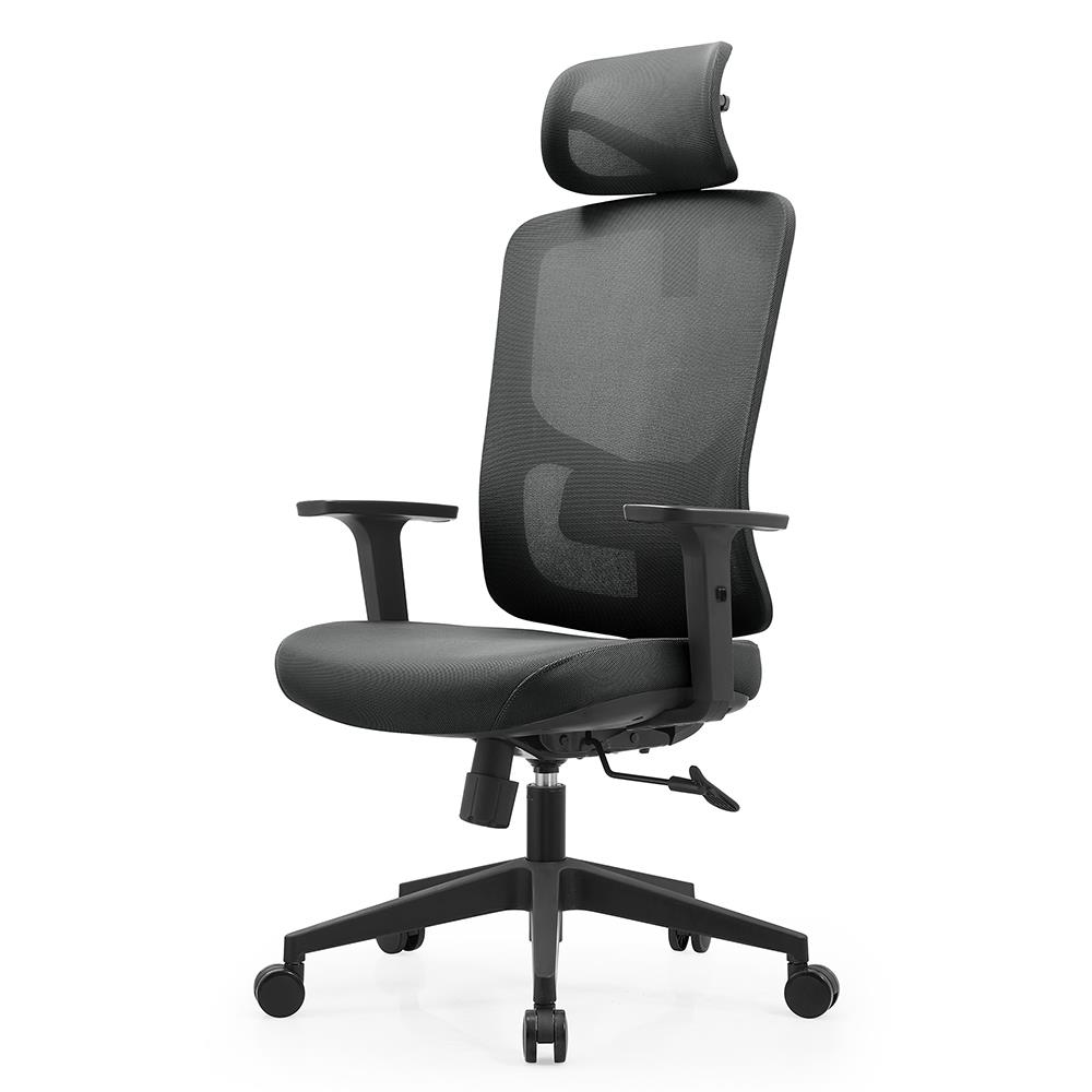 เก้าอี้สุขภาพ ERGOTREND MILTON สีดำ