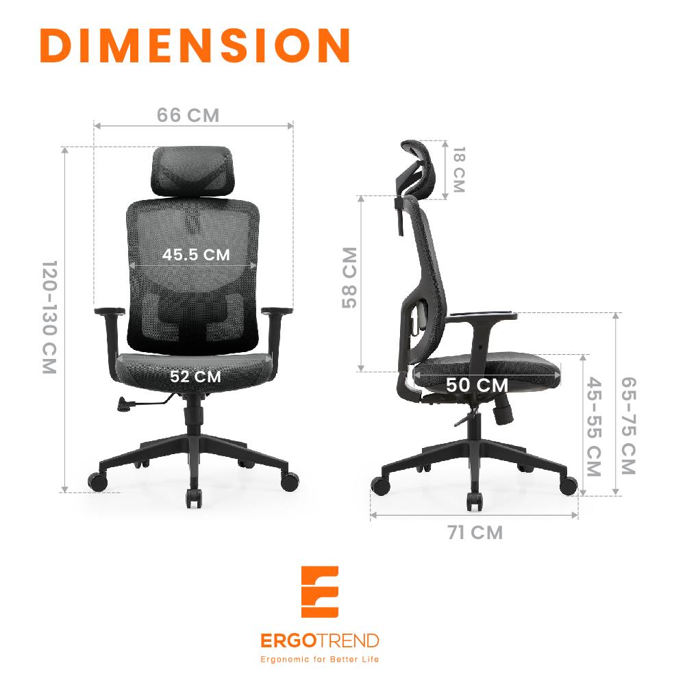เก้าอี้สุขภาพ ERGOTREND MILTON สีดำ