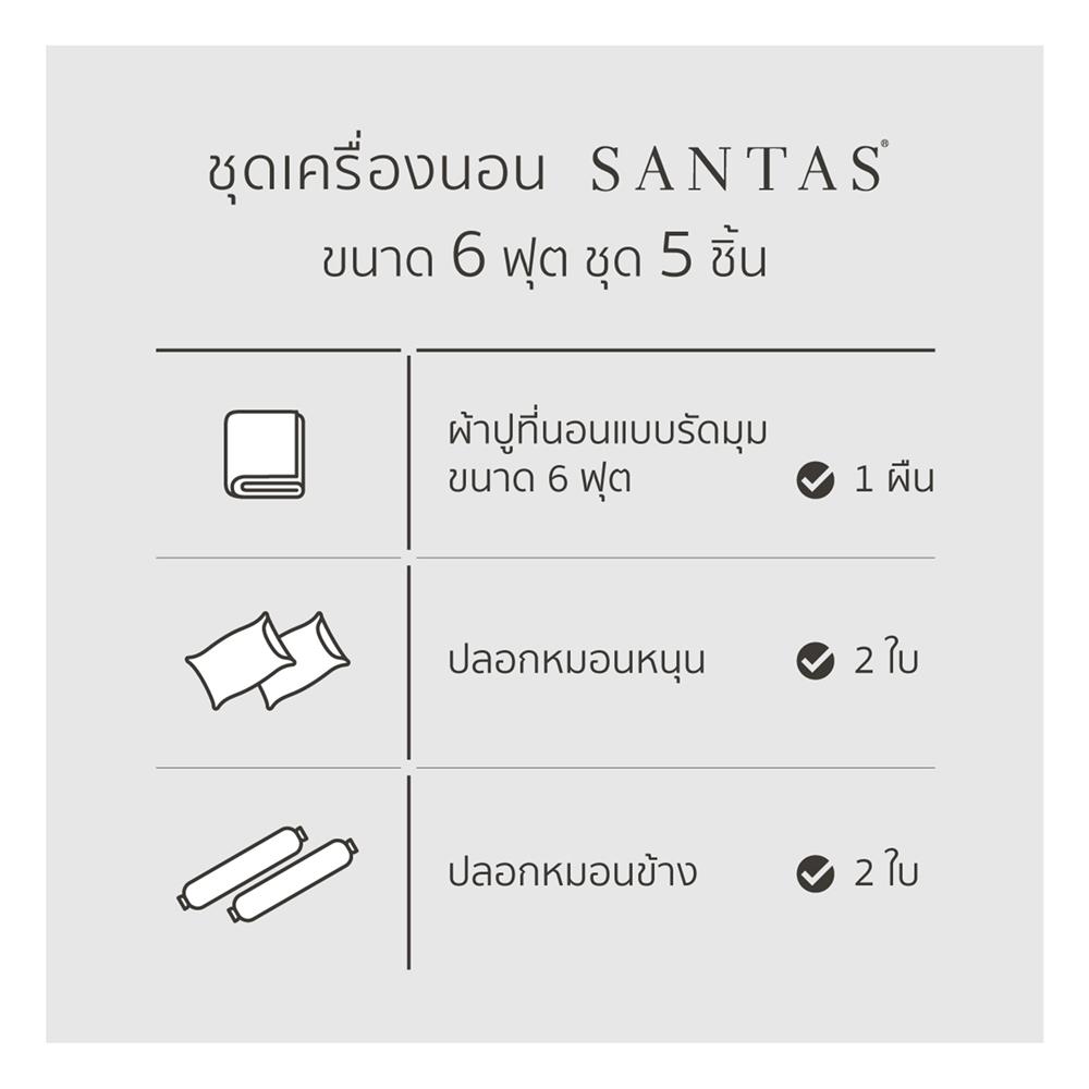 ชุดผ้าปูที่นอน 6 ฟุต 5 ชิ้น SANTAS CYBERPOP GR