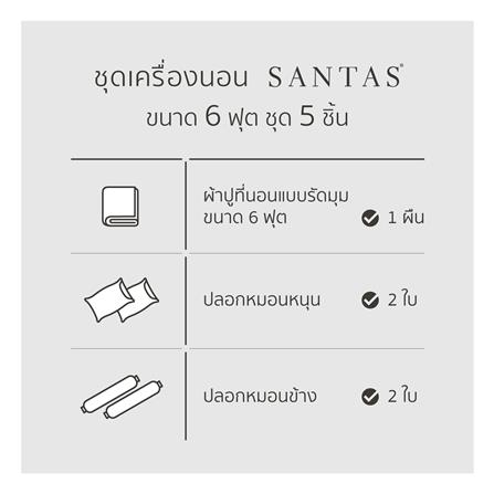 ชุดผ้าปูที่นอน 6 ฟุต 5 ชิ้น SANTAS CYBERPOP GR_6