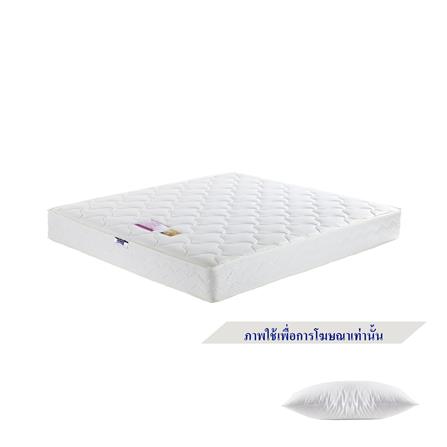 ที่นอน 3.5 ฟุต MIDAS LAMP พร้อมหมอนหนุน 1 ชิ้น