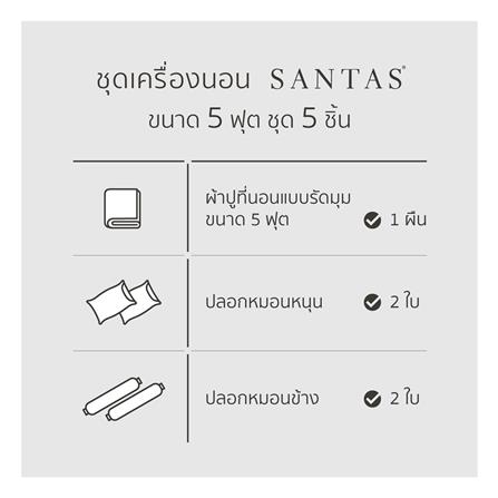 ชุดผ้าปูที่นอน 5 ฟุต 5 ชิ้น SANTAS CYBERPOP GR_6