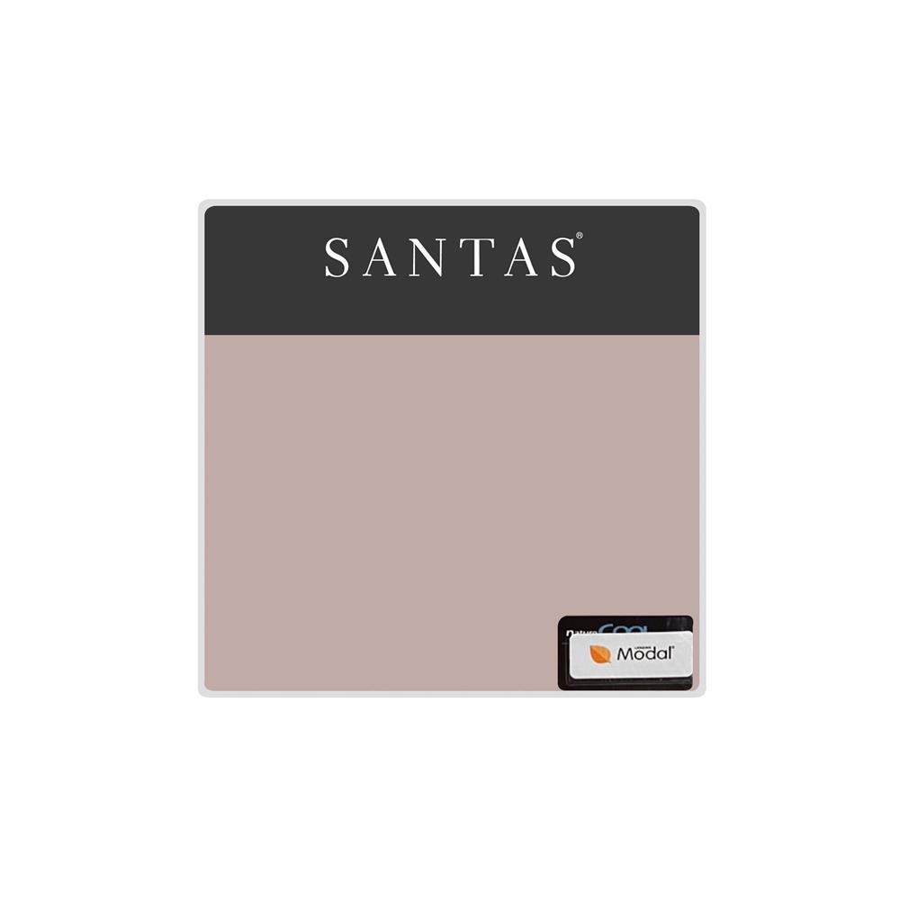 ชุดผ้าปูที่นอน 5 ฟุต 5 ชิ้น SANTAS GLLEAM BI