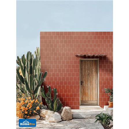 กระเบื้องผนังพอร์ซเลน 4x4 นิ้ว COTTO สลิม ฟอร์มา เทอร่า สีส้ม PM 1 ตร.ม._9