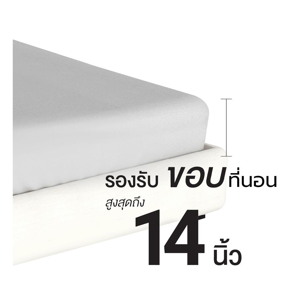 ชุดผ้าปูที่นอน 5 ฟุต 6 ชิ้น FROLINA MICROTEX DF065