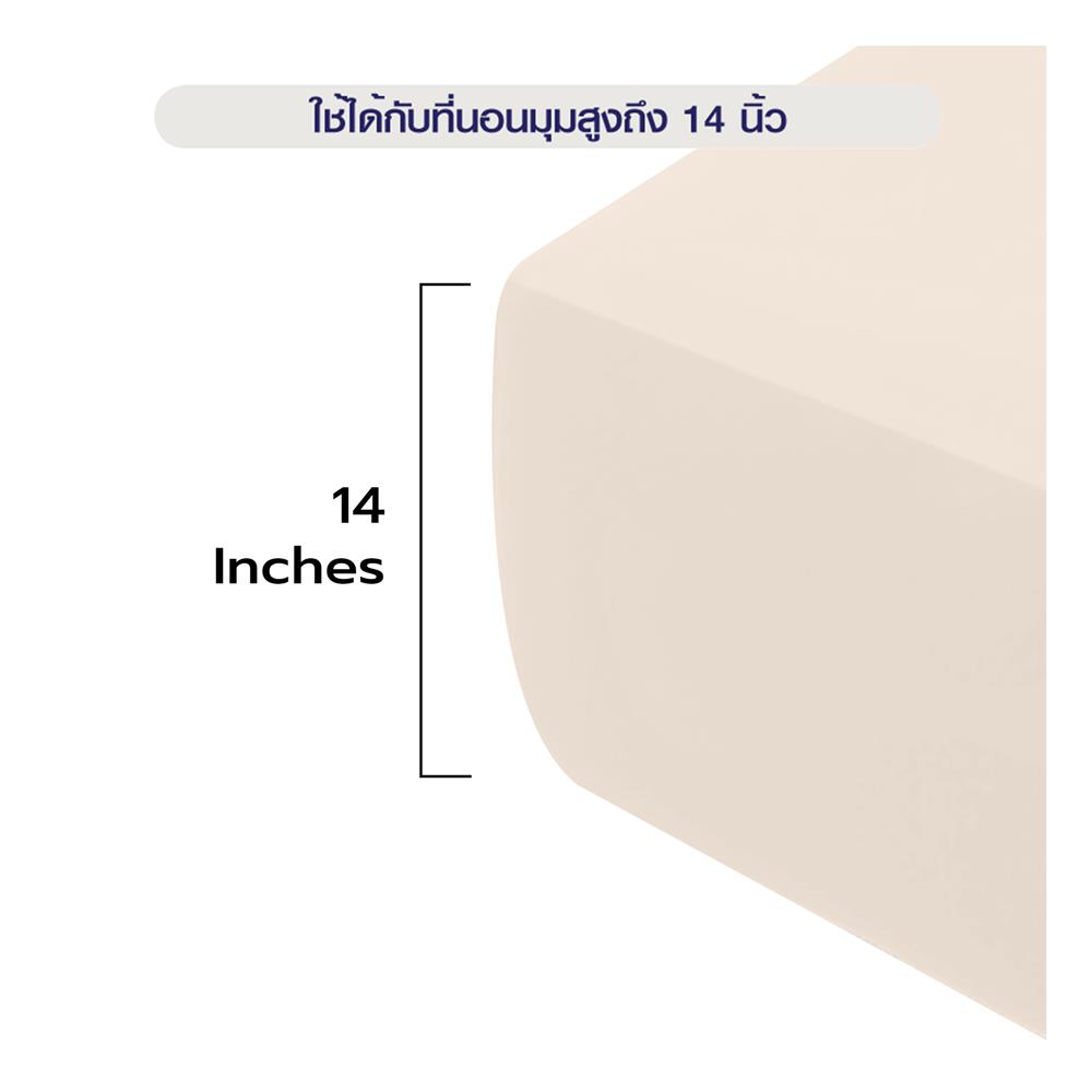 ผ้าปูที่นอน 5 ฟุต BENETTA MIST สี BEIGE