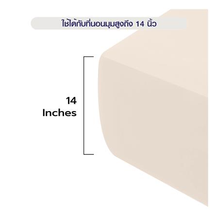 ผ้าปูที่นอน 5 ฟุต BENETTA MIST สี BEIGE_12