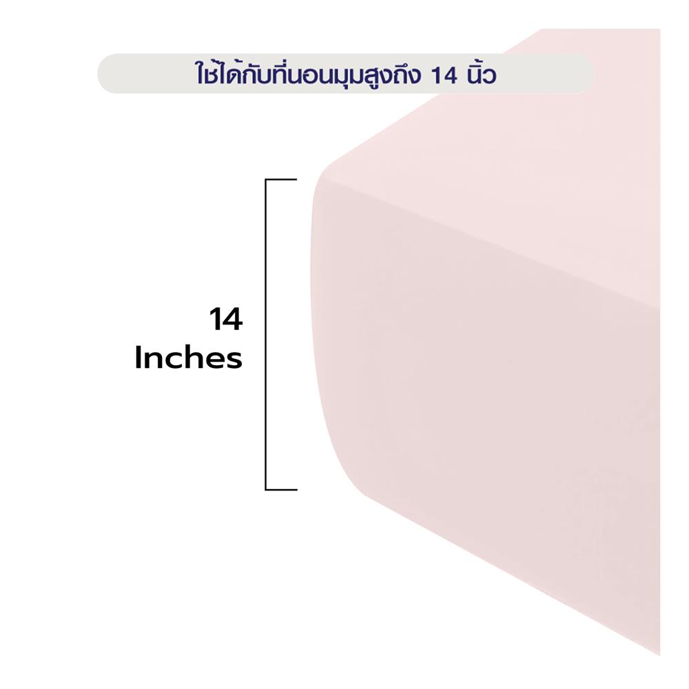 ผ้าปูที่นอน 3.5 ฟุต BENETTA MIST สี LIGHT PINK