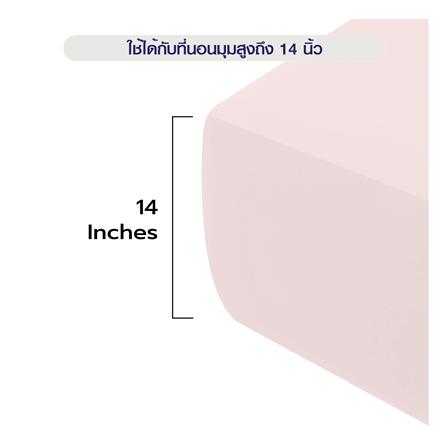 ผ้าปูที่นอน 3.5 ฟุต BENETTA MIST สี LIGHT PINK_12